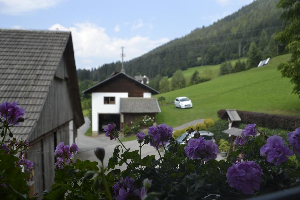 Haus Tonelehof Apartamento Dellach im Drautal Exterior foto